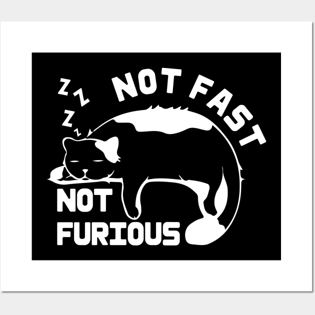 Funny cat Not Fast Not Furious cat Quote Cute cat Wall Art by Inkonic lines